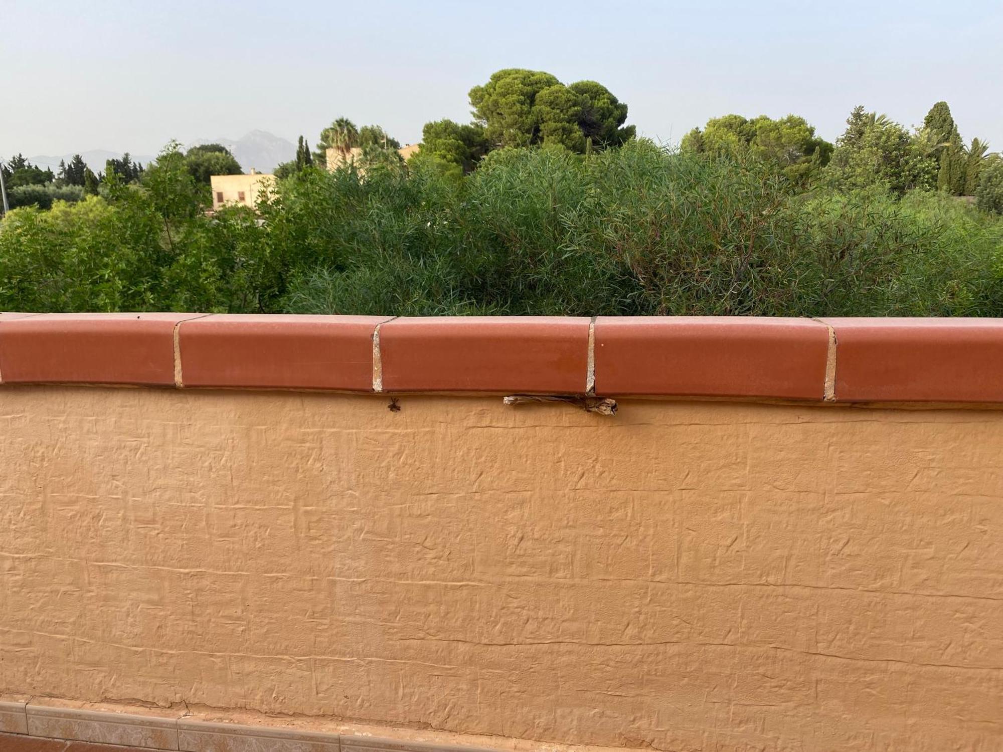 הוילה Casa En La Huerta De מוטקסאמל מראה חיצוני תמונה