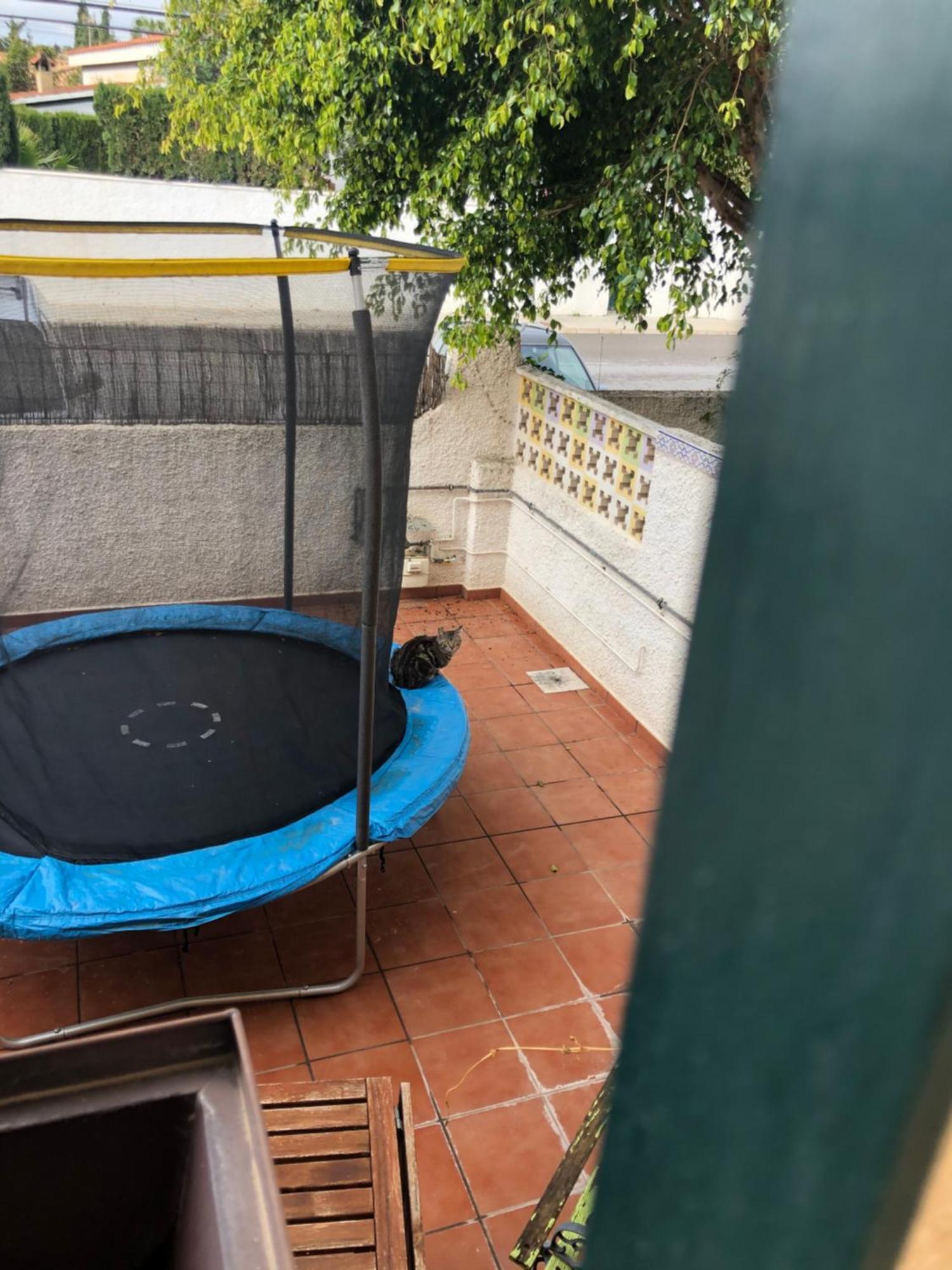 הוילה Casa En La Huerta De מוטקסאמל מראה חיצוני תמונה